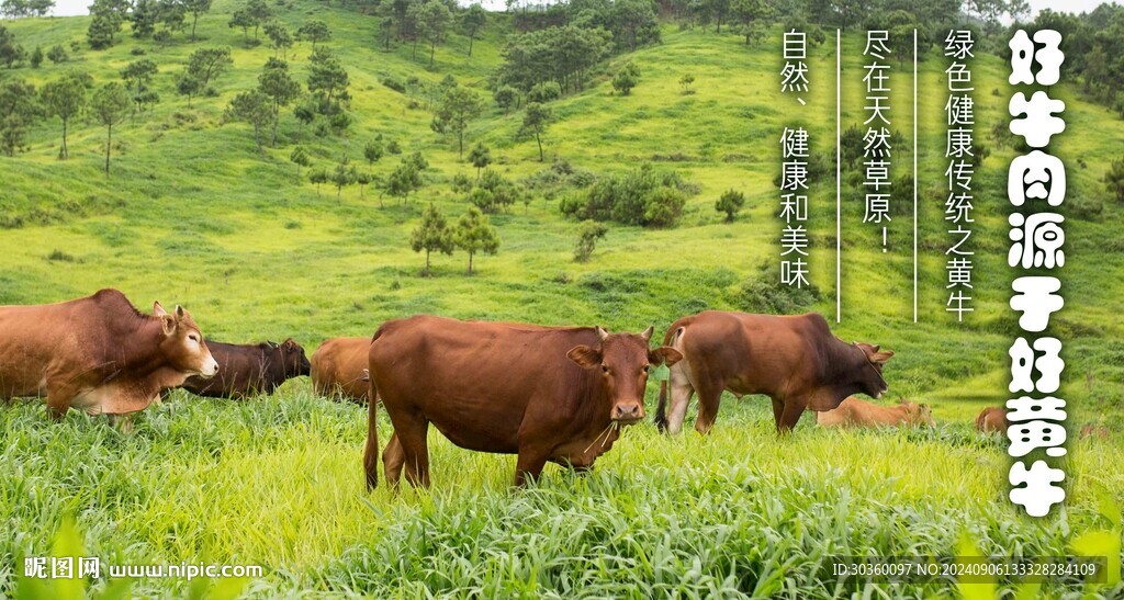 好牛好面
