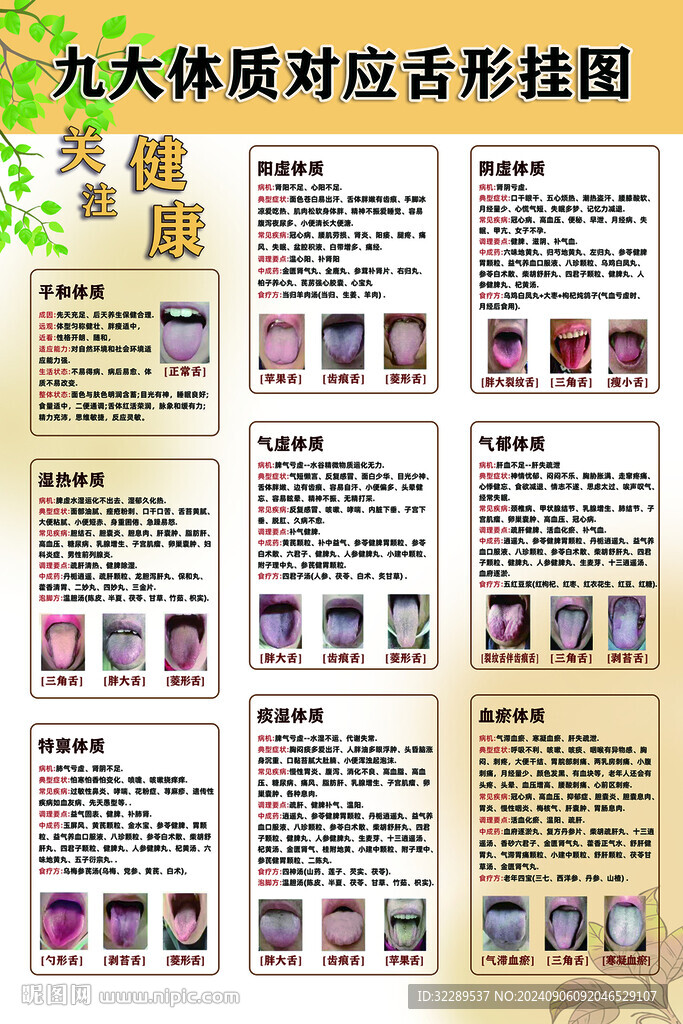 九大体质对应舌形挂图