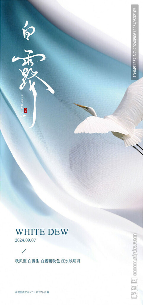 白露节气海报