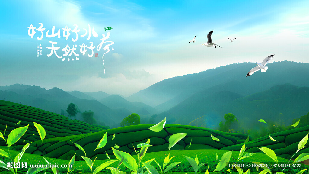 茶园