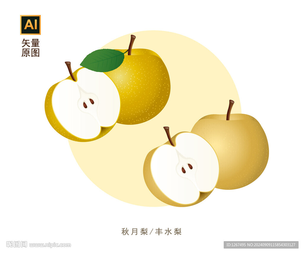 秋月梨素材