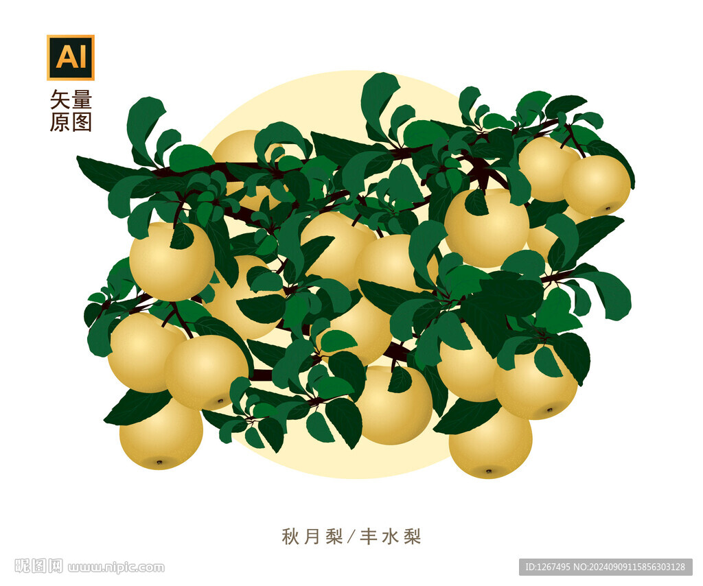 丰水梨素材