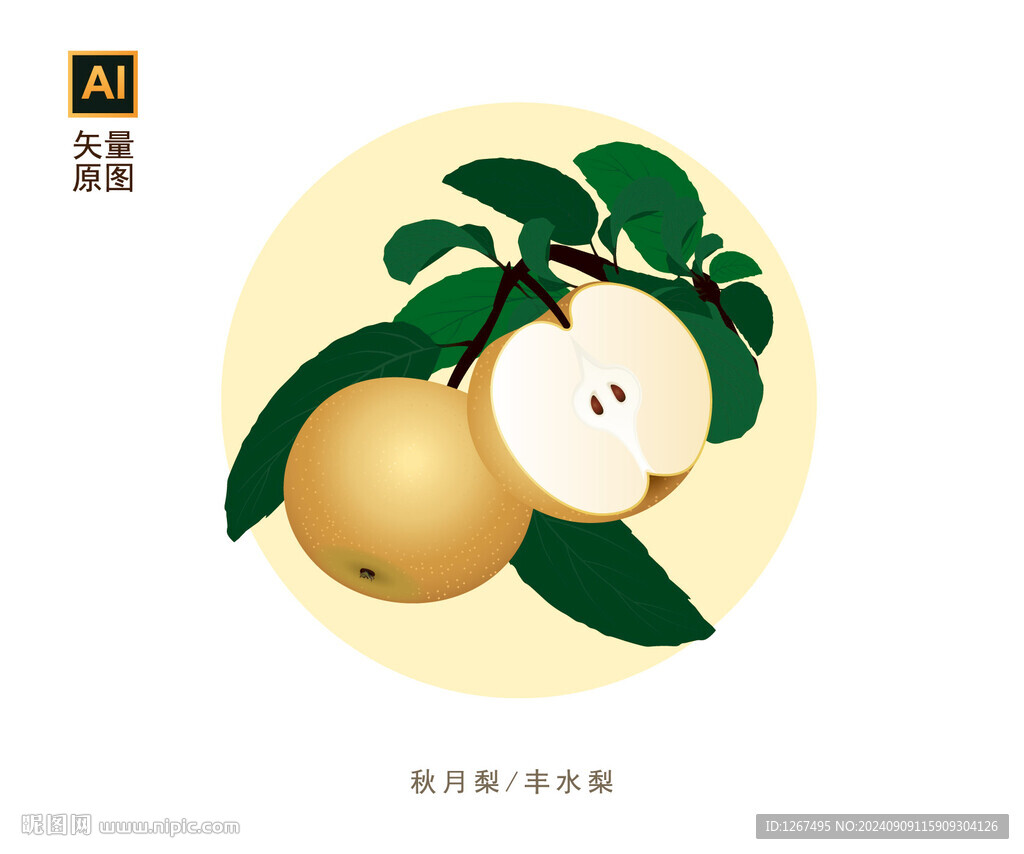 秋月梨素材