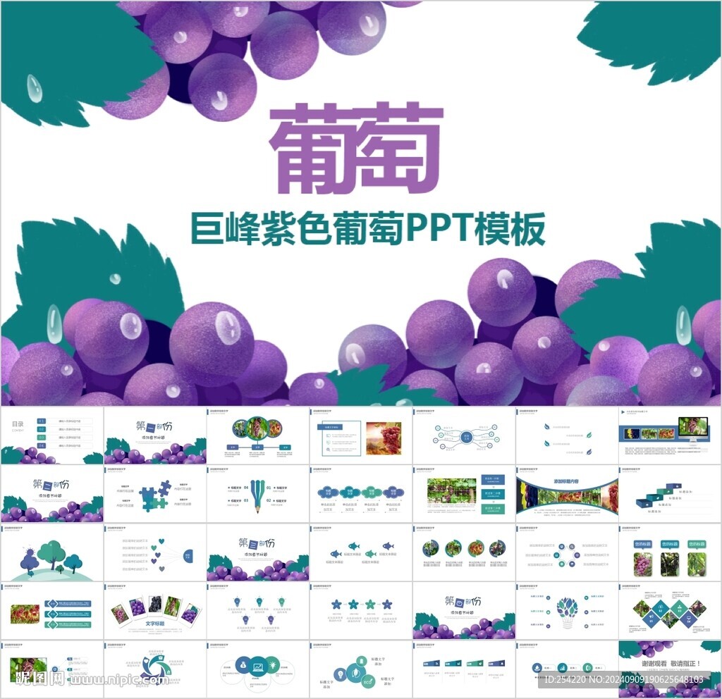 葡萄巨峰葡萄园PPT模板
