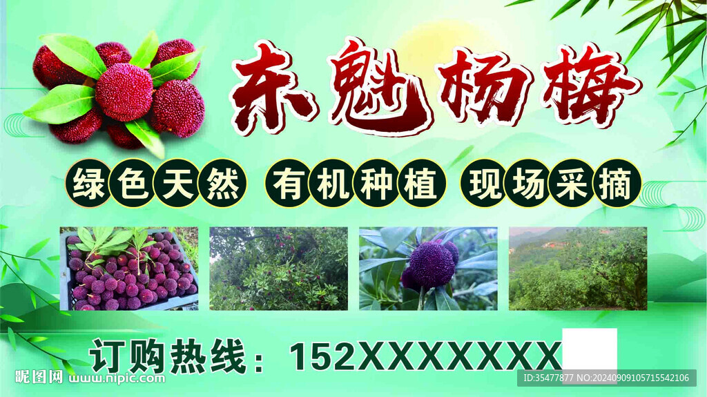 杨梅广告