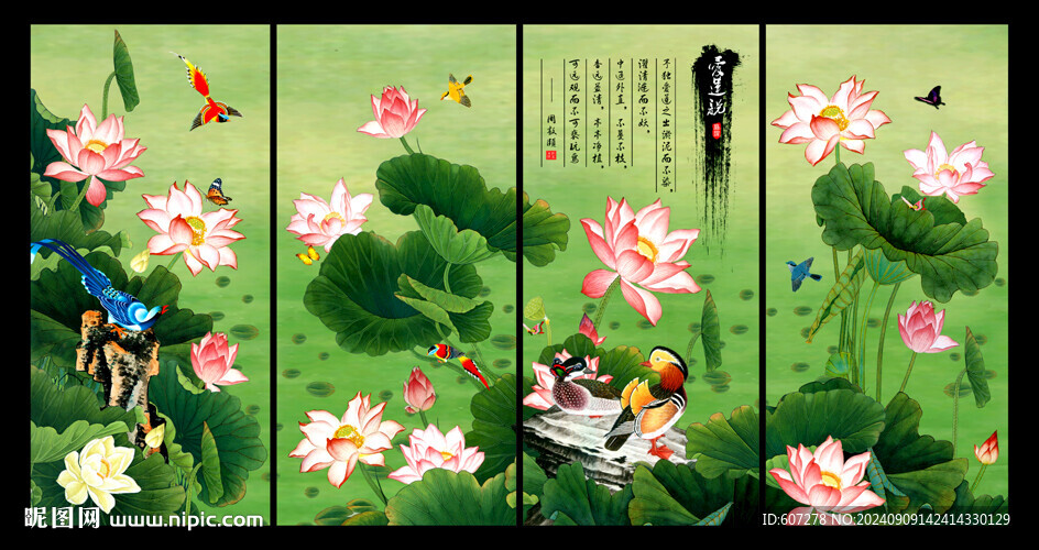 荷花 
