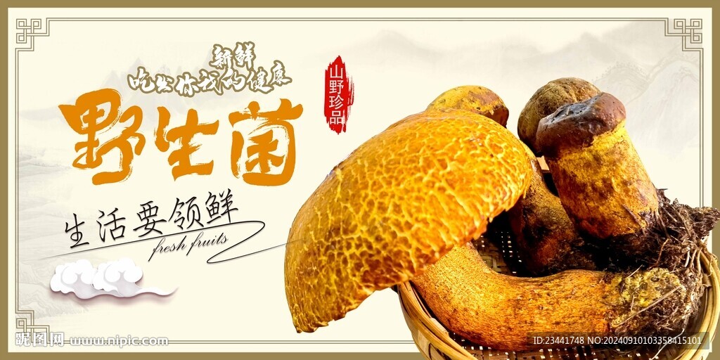 野生菌海报