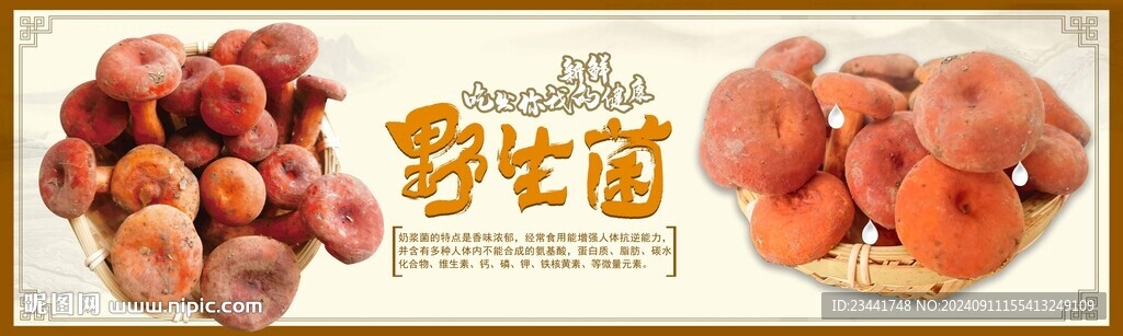 野生菌