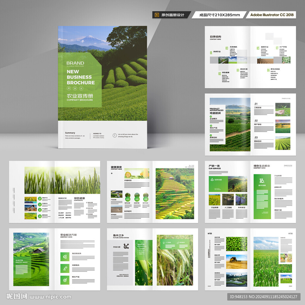 农产品宣传册