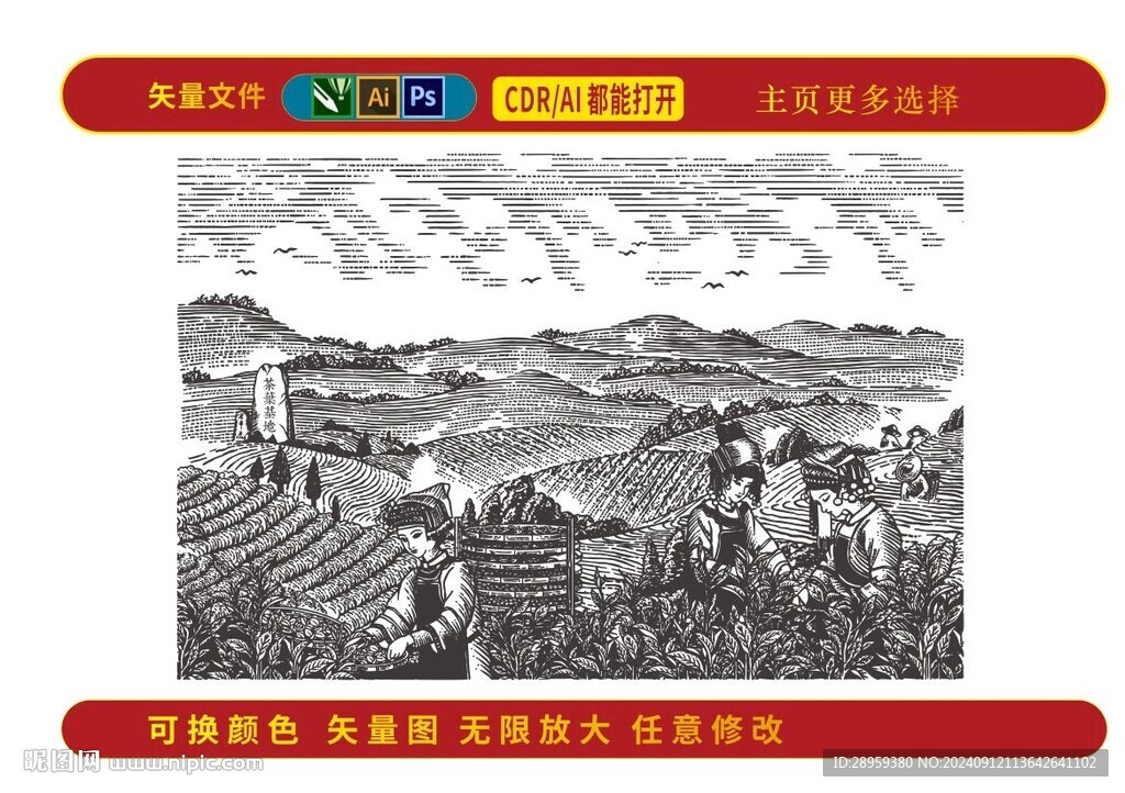 贵州茶叶包装纹理图片