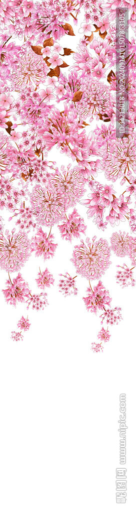 大牌定位花