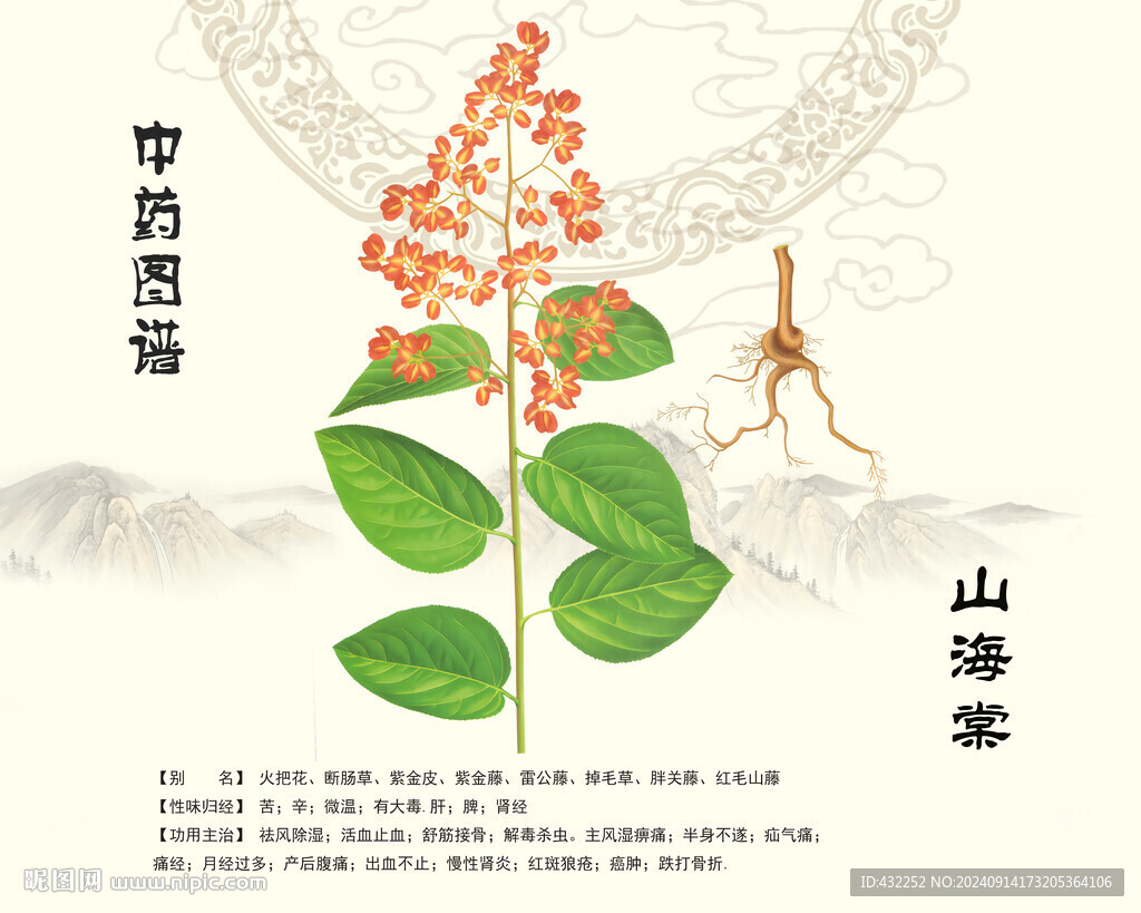山海棠