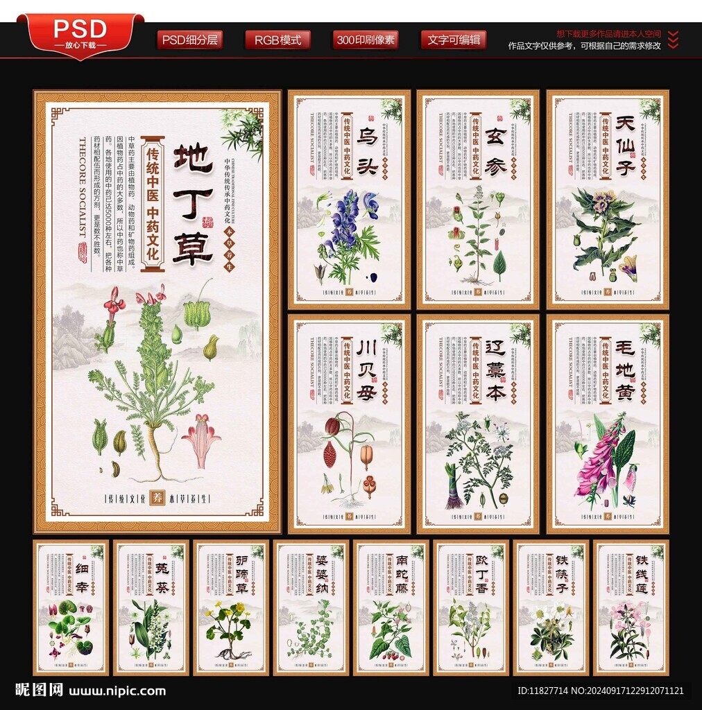 本草养生