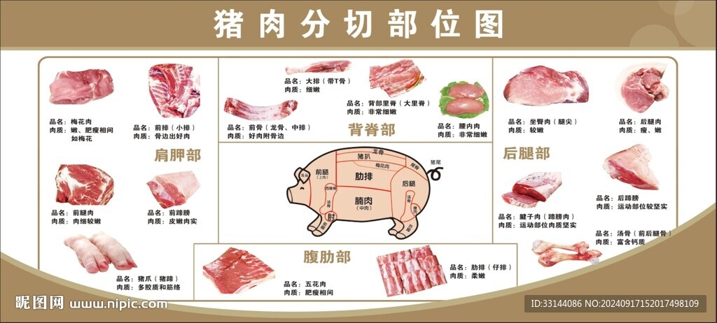 猪肉分割图