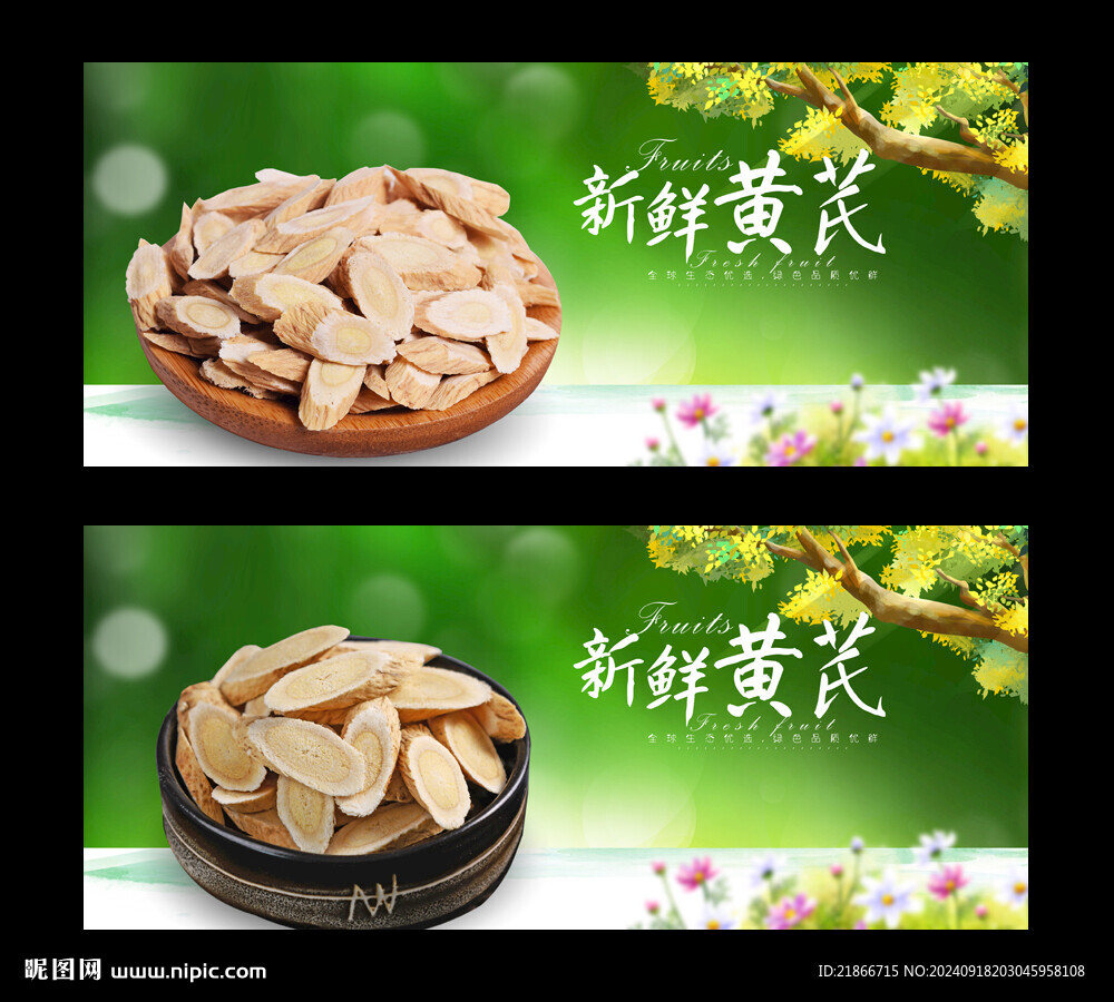 黄芪