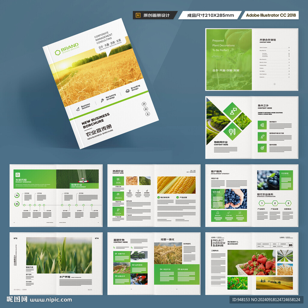 农产品画册