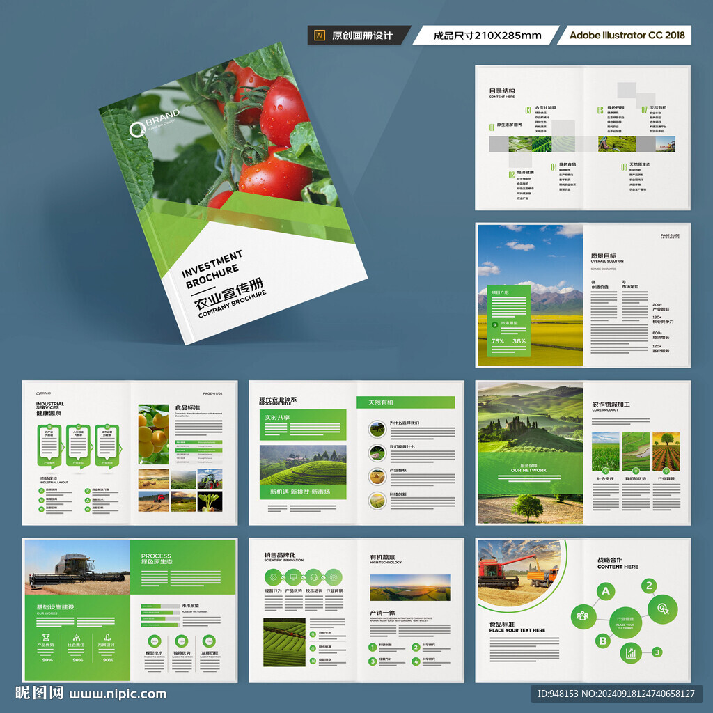 农业合作社画册