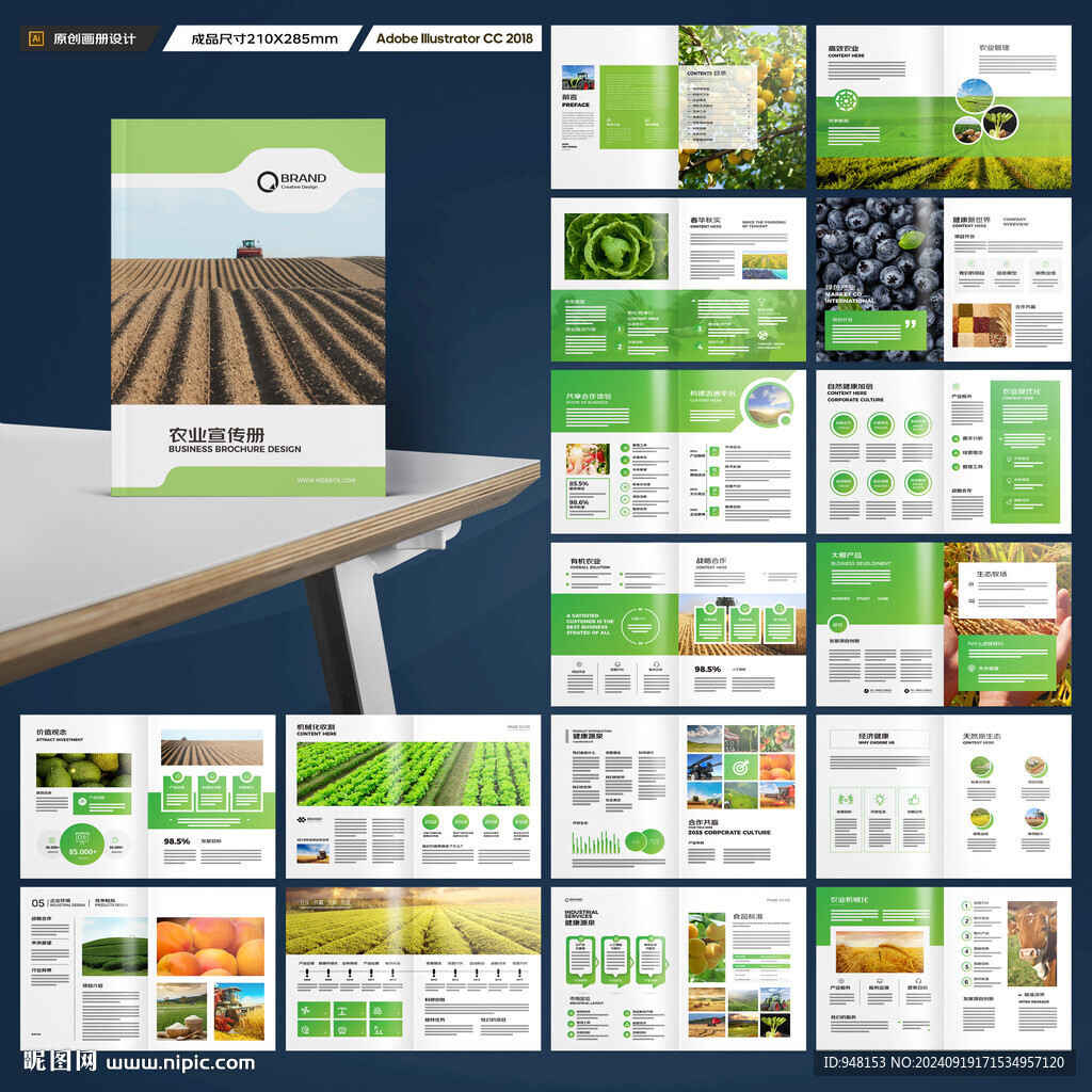 农产品宣传册