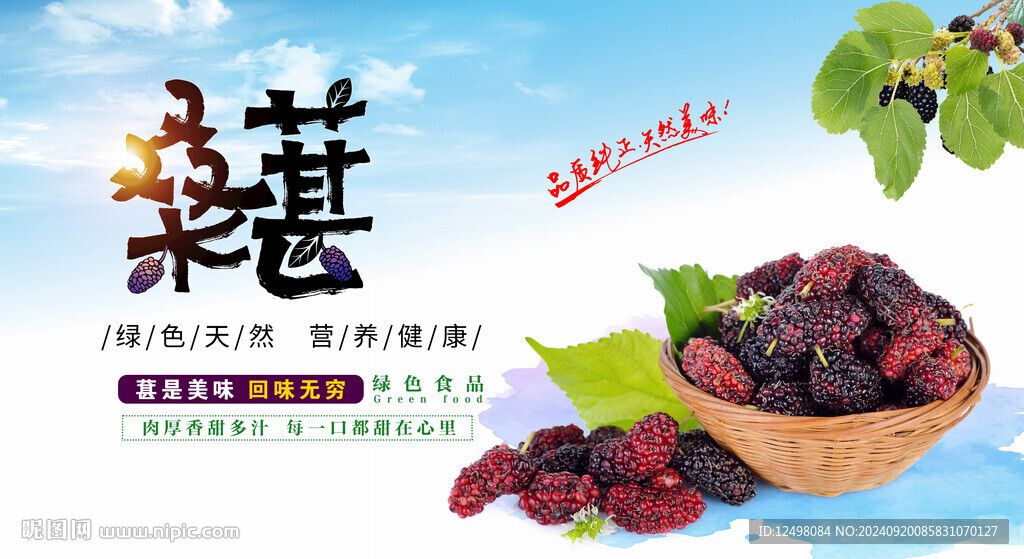 桑葚