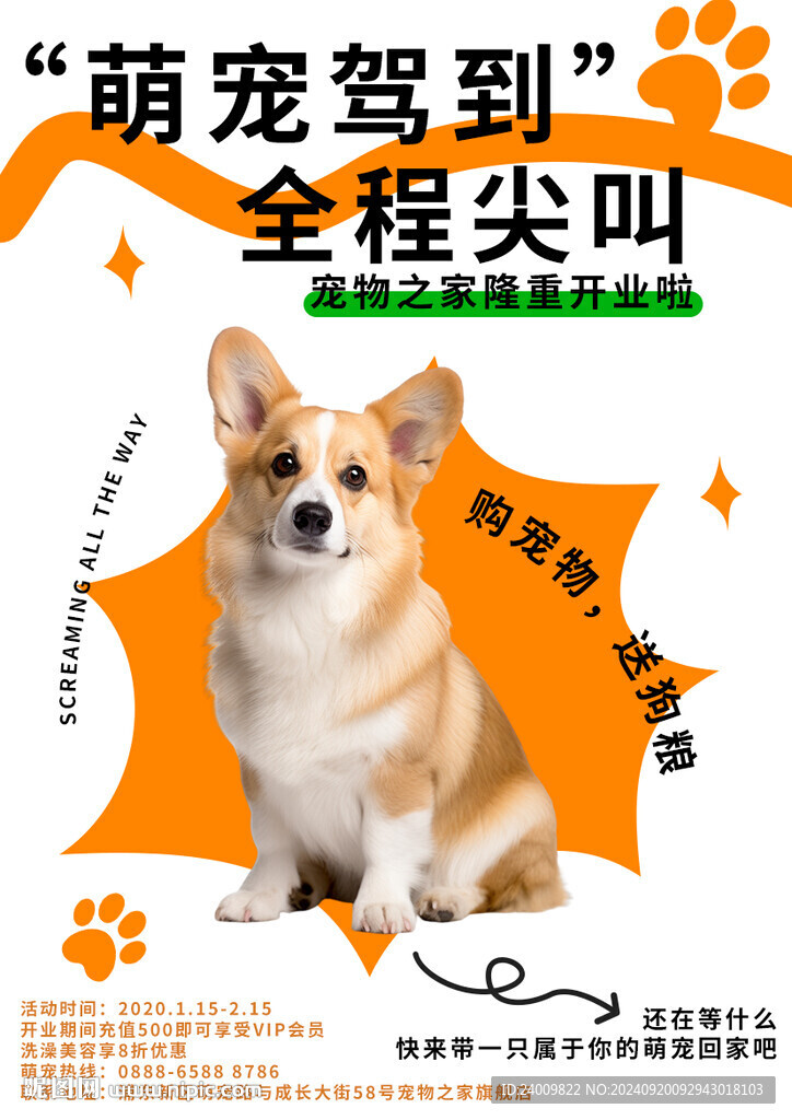 宠物海报宣传设计