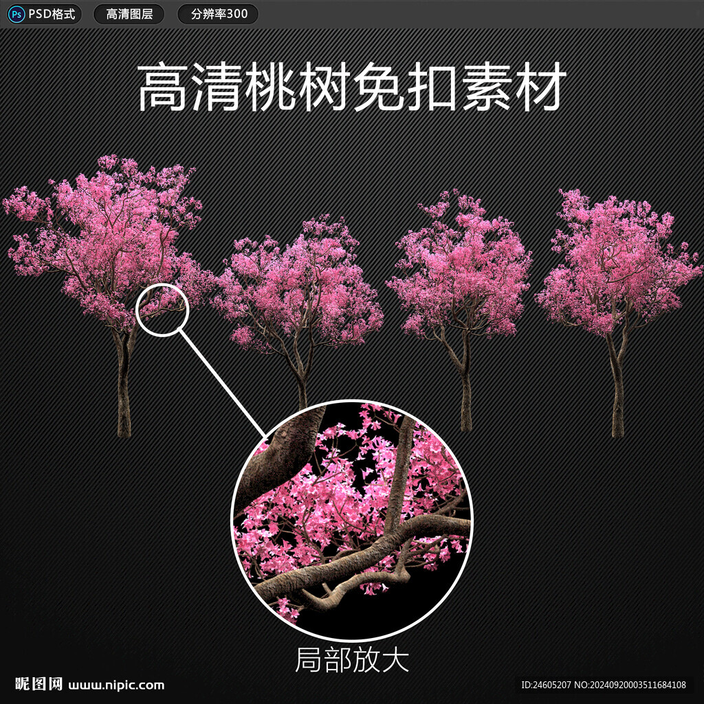 免扣桃树