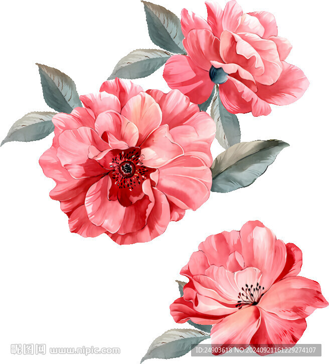 数码印花 红花牡丹