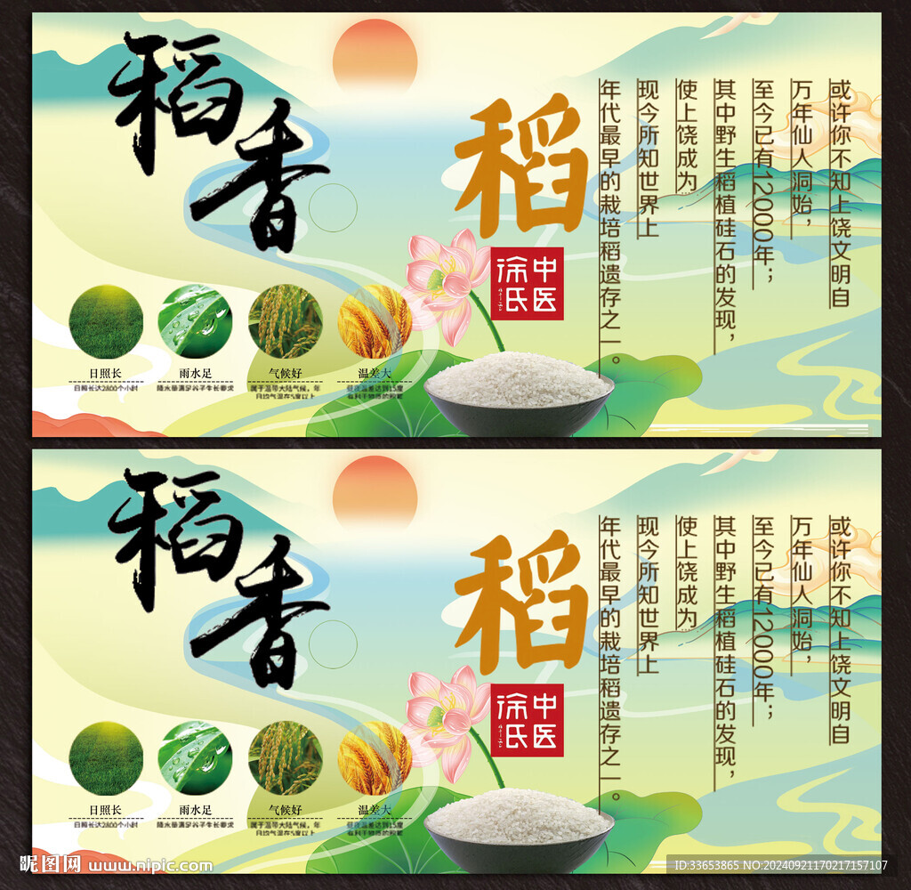 水稻展板