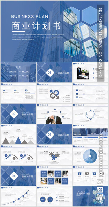 商业汇报计划书PPT模版