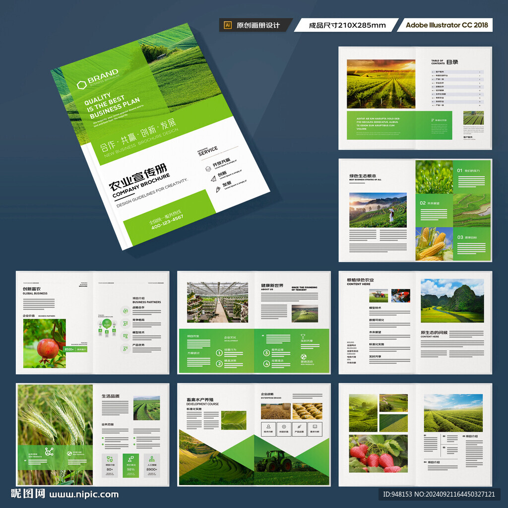 农业合作社画册