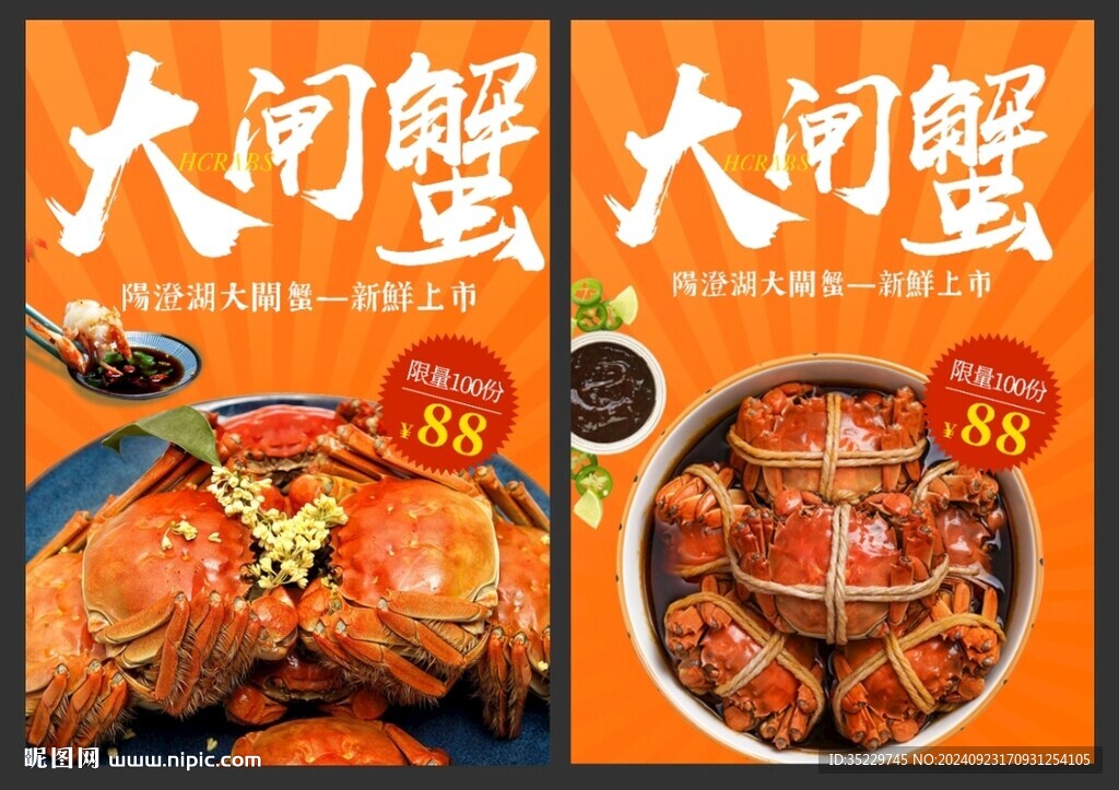 大闸蟹图片