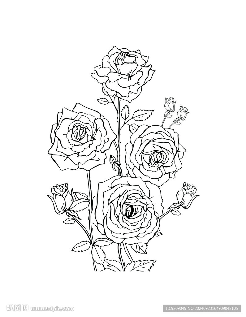 玫瑰花线稿