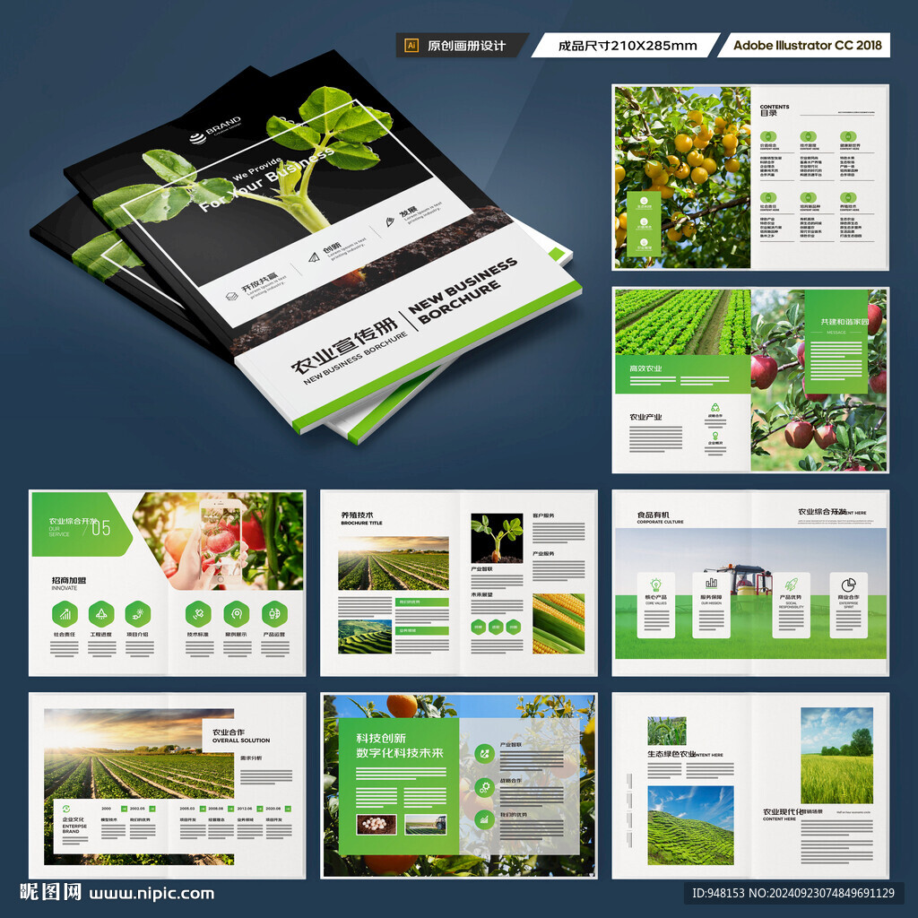农产品宣传册