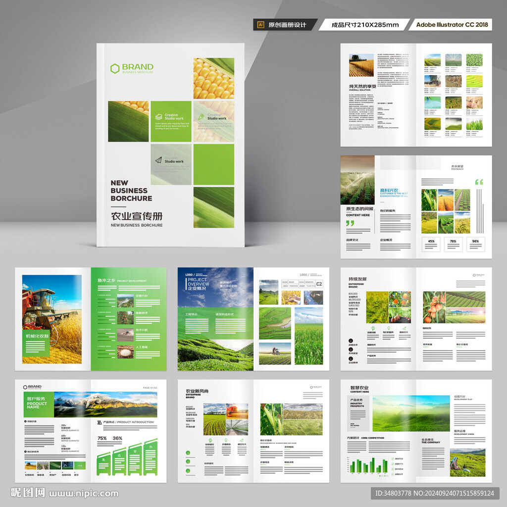 农业宣传册