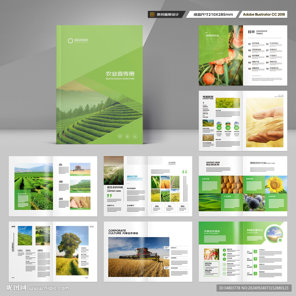 农业合作社画册