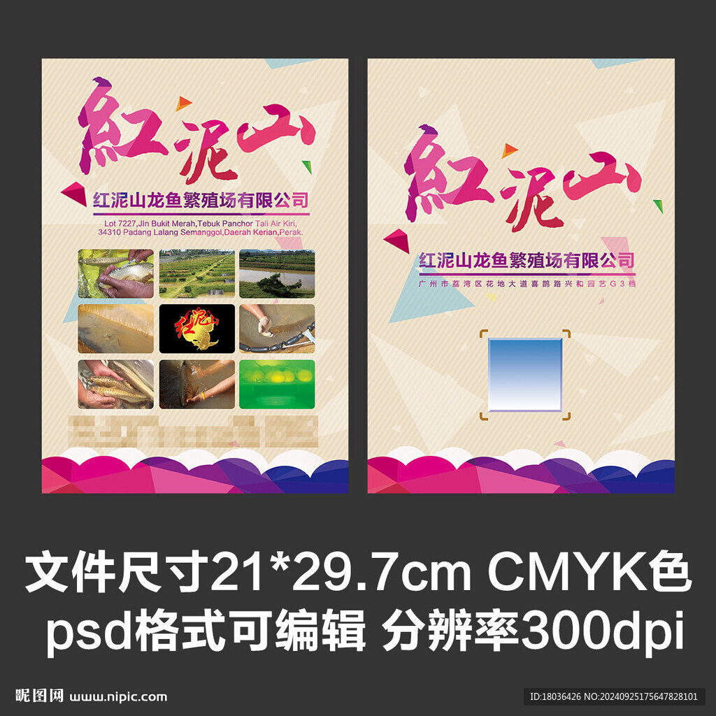 产品介绍单页DM单公司宣传台签