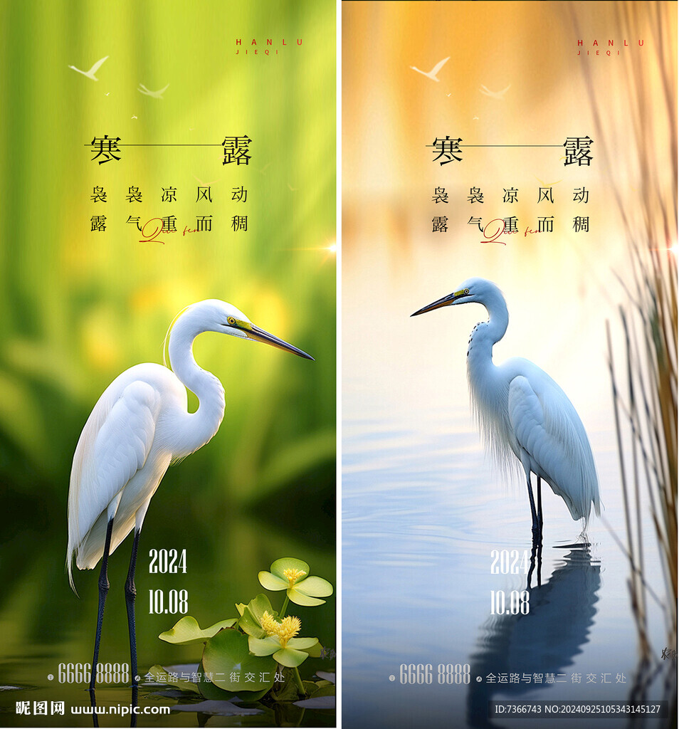 寒露