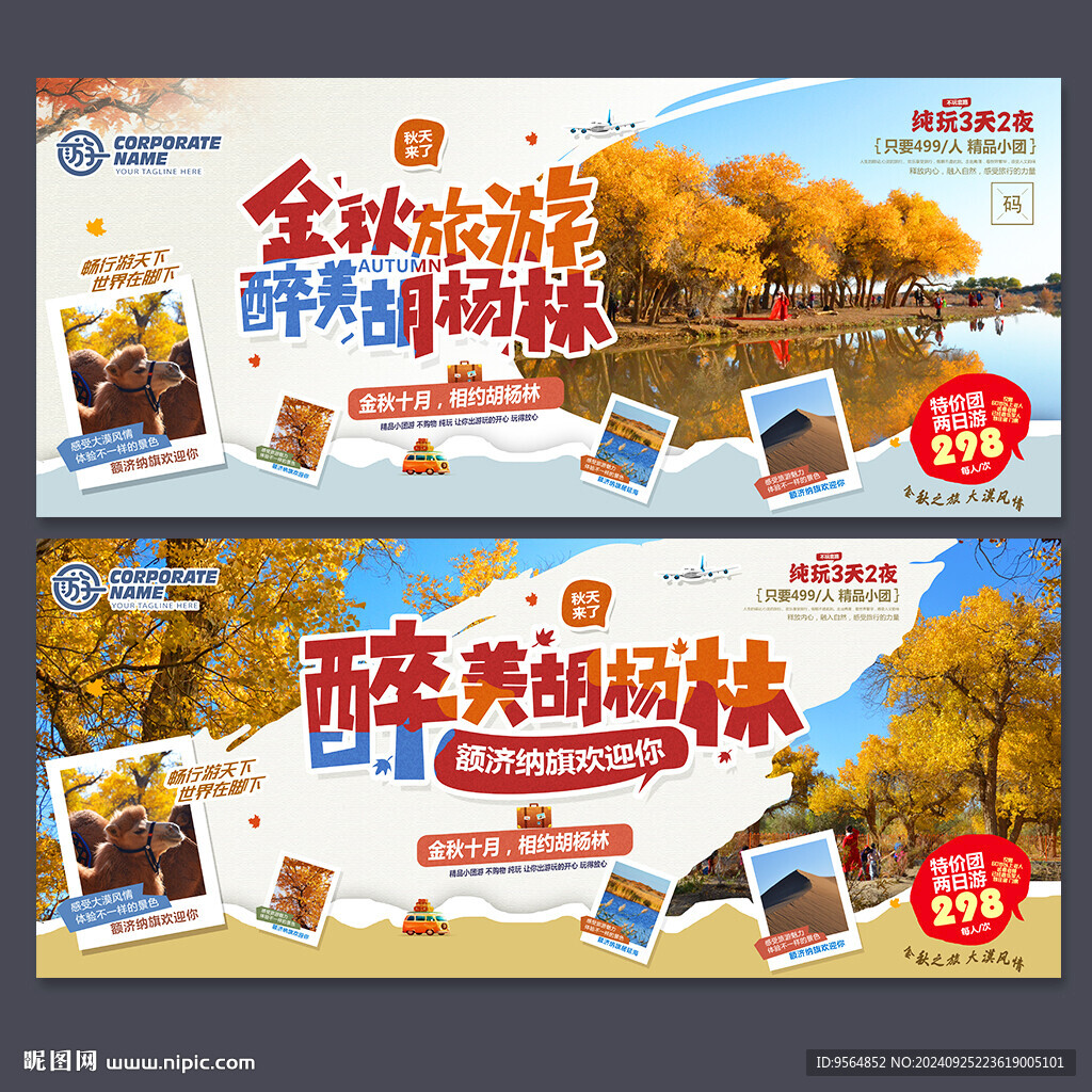 胡杨林