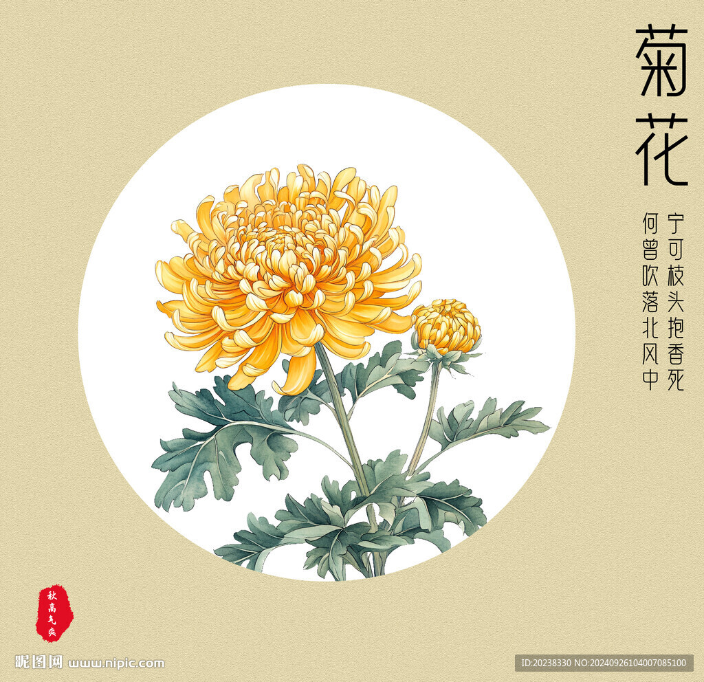 菊花手绘风格海报