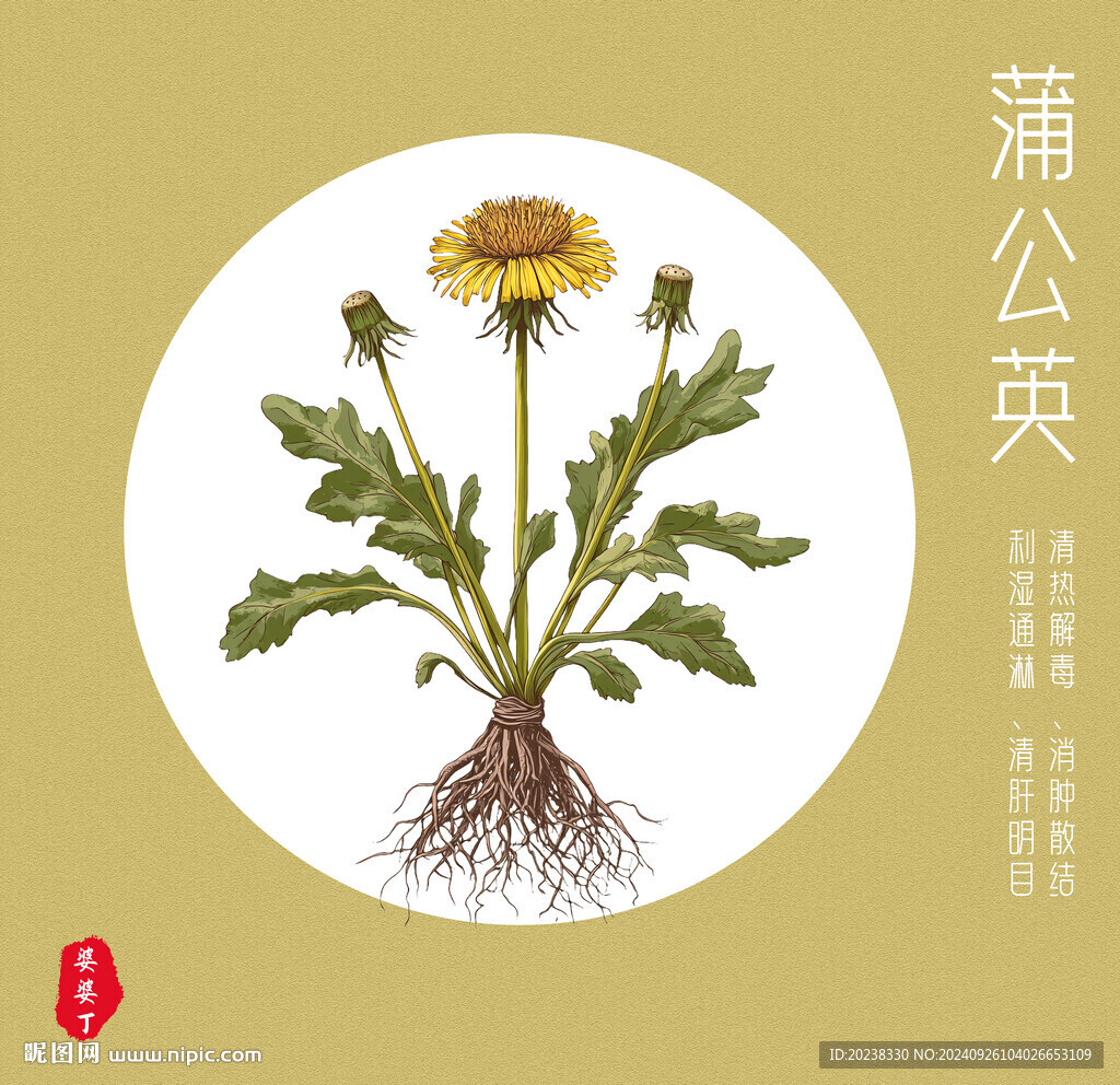 蒲公英海报