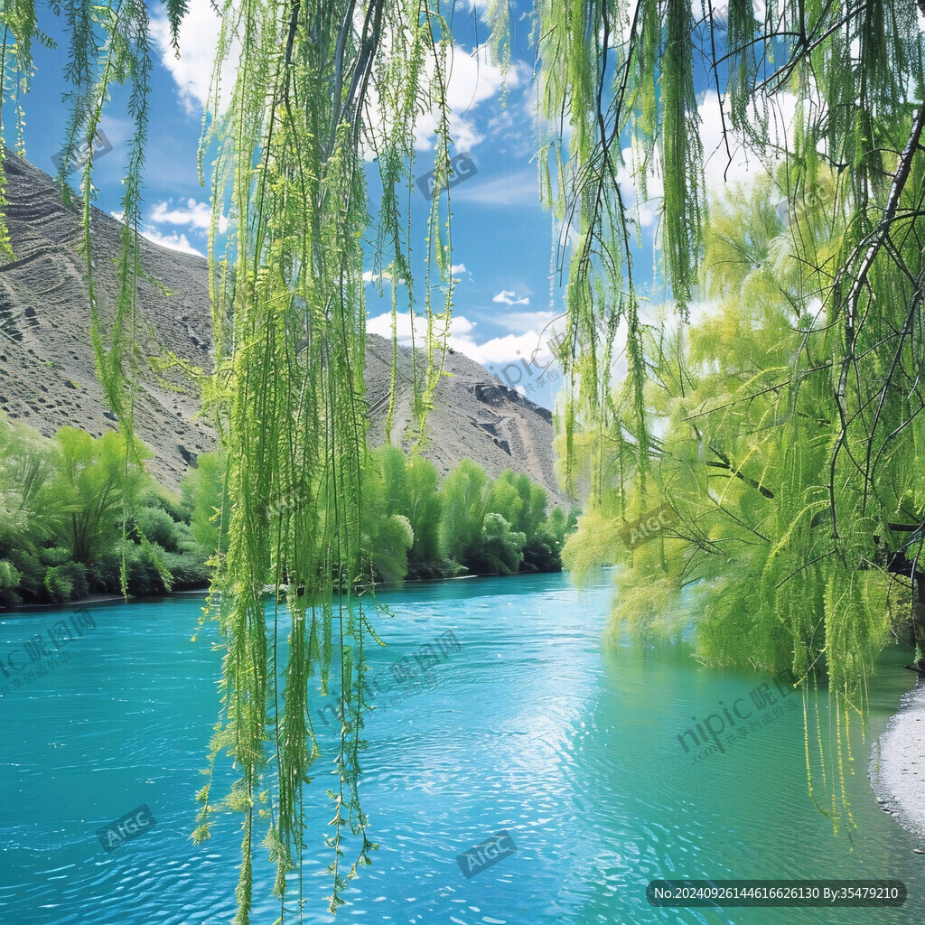 碧水垂柳美丽景色