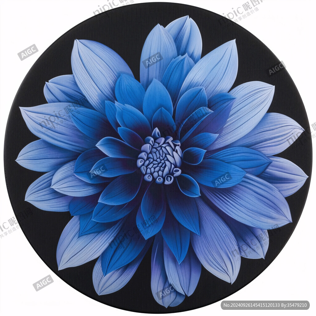 大丽花插画