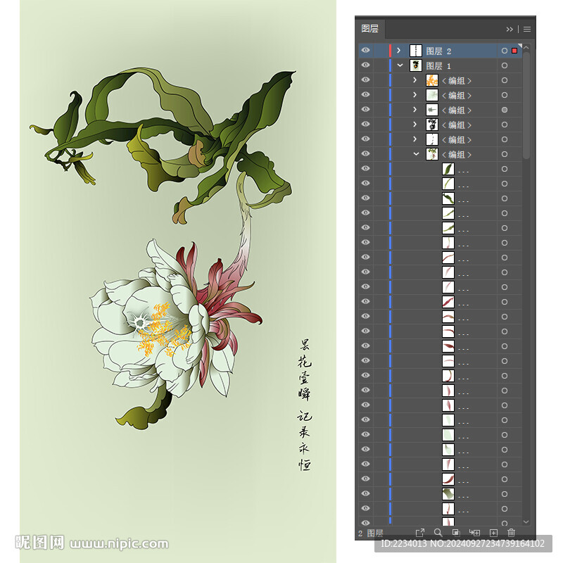昙花一瞬记录永恒