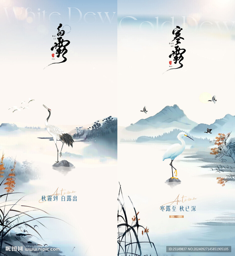 寒露海报