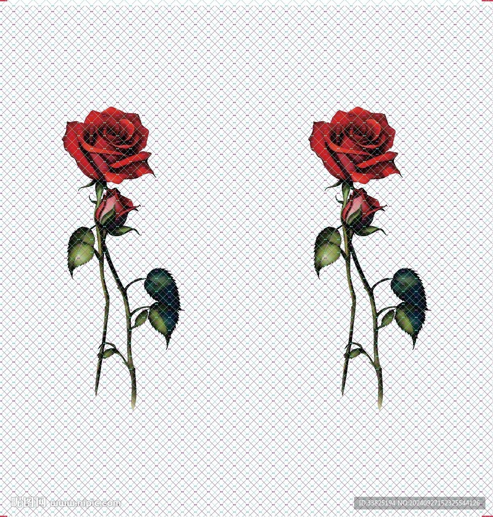 手绘花 玫瑰花
