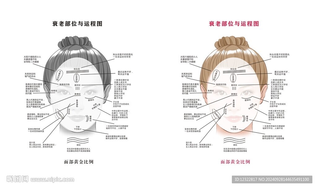 衰老部位与运程图