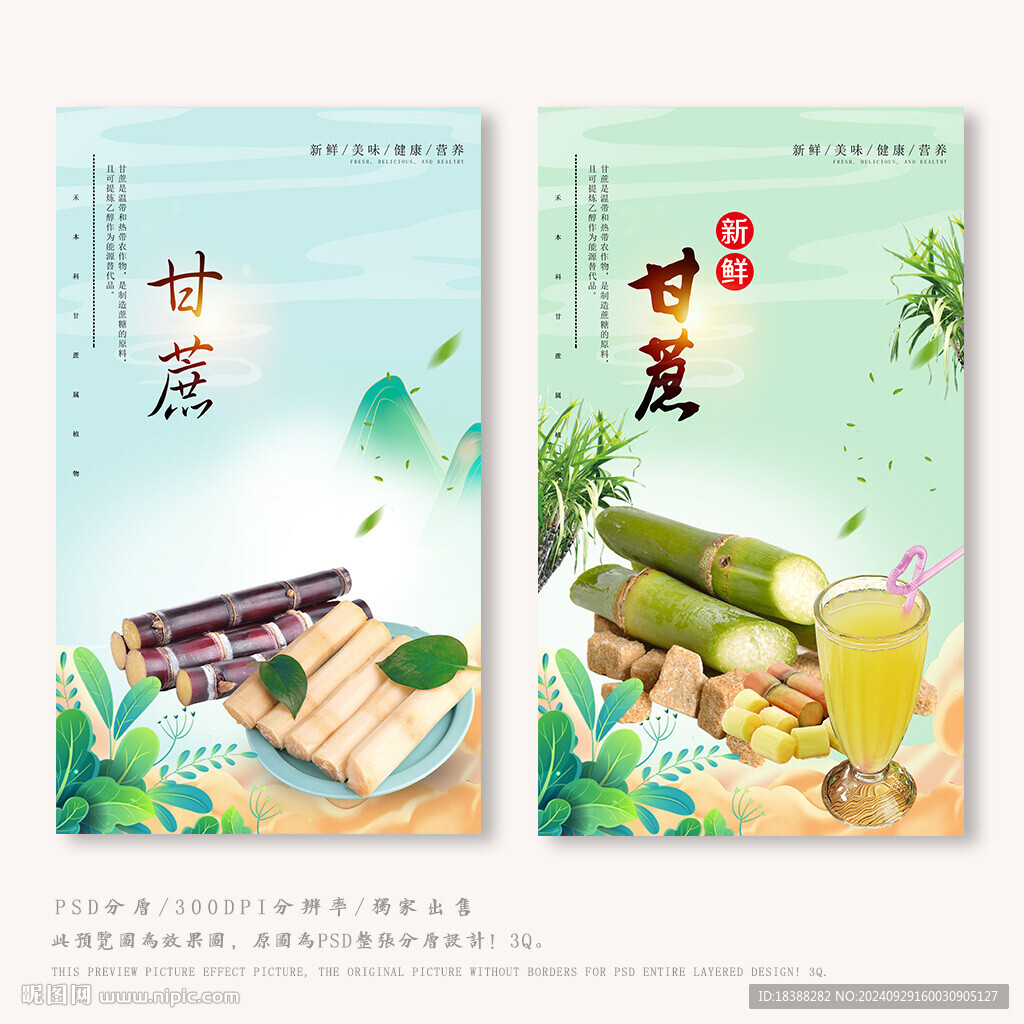 甘蔗
