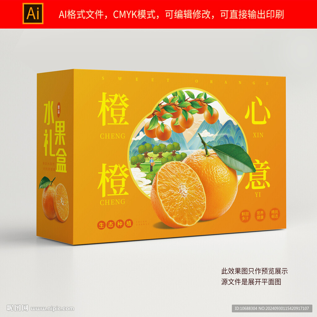 橙子包装礼盒