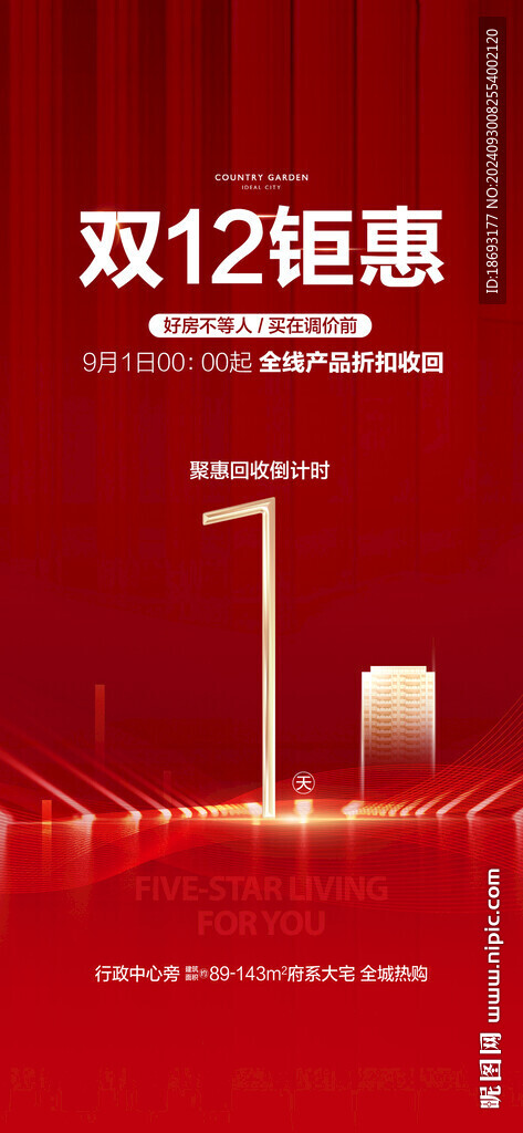 双11