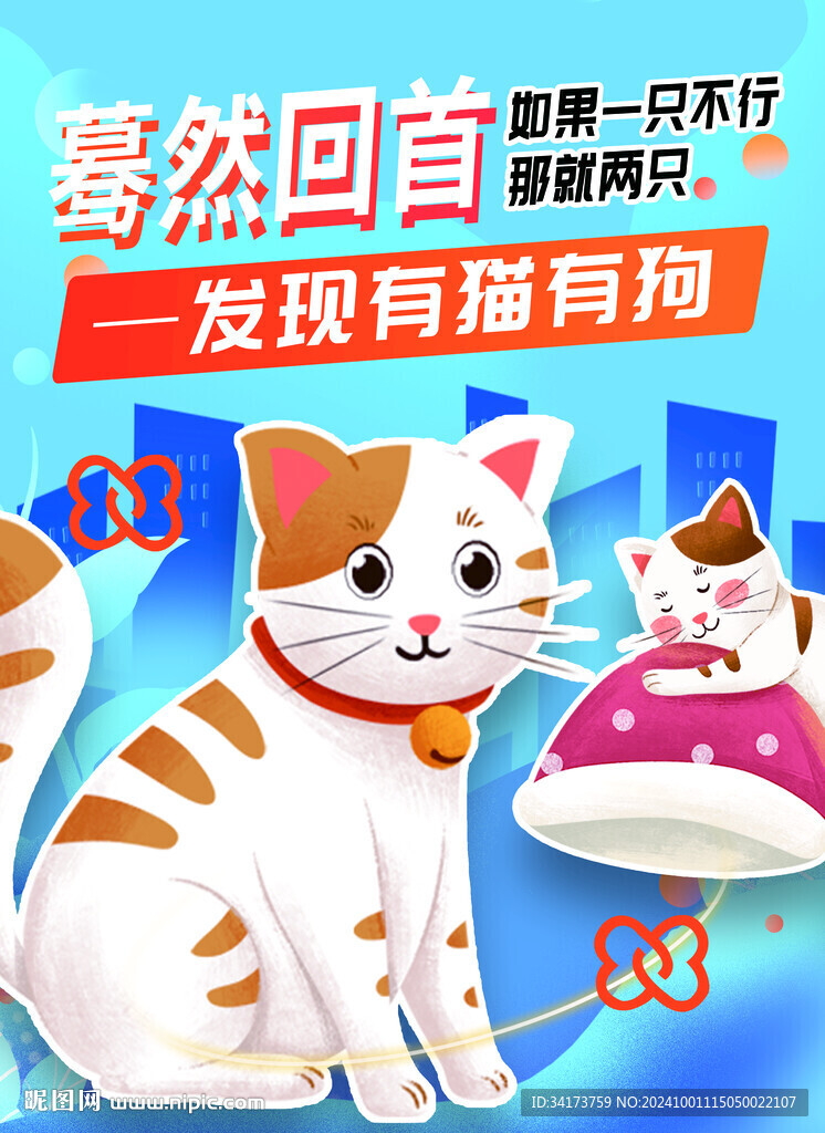 宠物