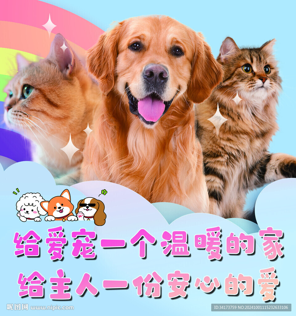 宠物